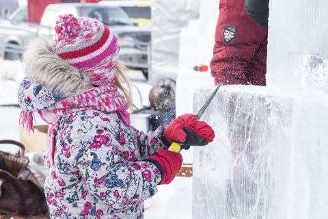 Festival de la Banquise
