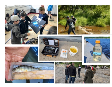 Les citoyens en action pour la protection de l&rsquo;eau et des &eacute;cosyst&egrave;mes