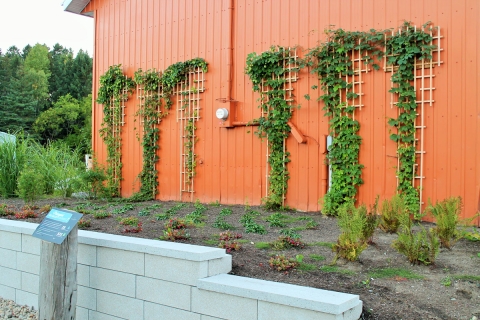 Végétalisation et aménagement du site de Dekhockey Portneuf