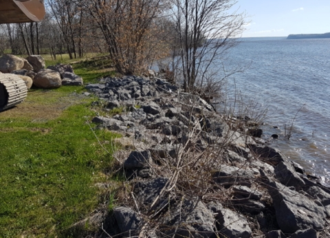 Projet modèle de restauration de la rive