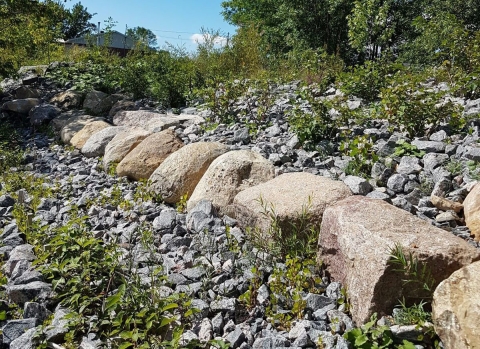 Projet modèle de restauration de la rive