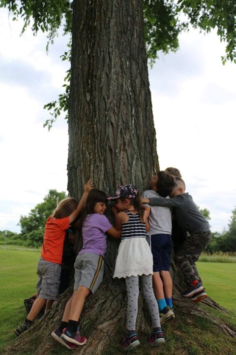 Campagne" Verdis ton quartier"